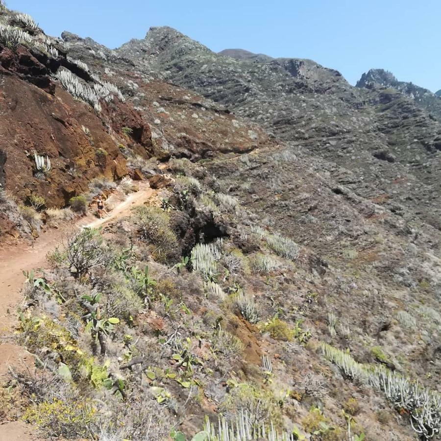 Tenerife Santa Cruz de Tenerife Bagian luar foto