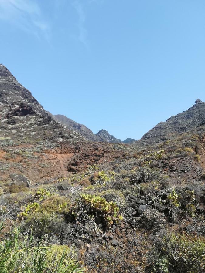 Tenerife Santa Cruz de Tenerife Bagian luar foto